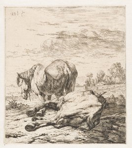 Twee paarden (Dieren)