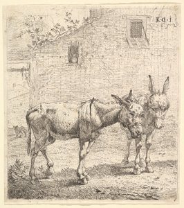Twee ezels staand in een grasveld, één in profiel naar rechts en een andere erachter door Karel Du Jardin