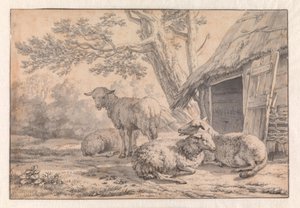  door Karel Dujardin