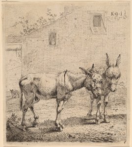Twee Ezelinnen door Karel Dujardin