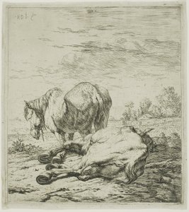 Twee Paarden door Karel Dujardin