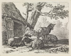  door Karel Dujardin