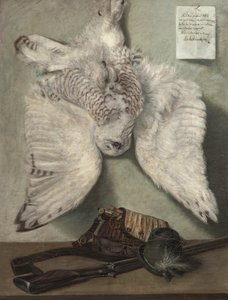 Sneeuwuil door Karel Purkyne