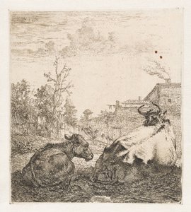 Liggende koe met kalf door Karel du Jardin (signed by artist)