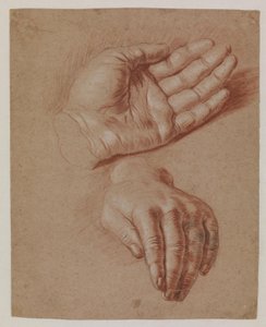 Studies van twee handen door Karel van III Mander