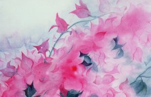 Bougainvillea door Karen Armitage