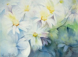 Madeliefjes, Shasta door Karen Armitage