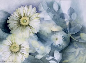Gerbera Jameson II door Karen Armitage