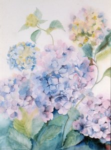 Hortensia, Blue Wave I door Karen Armitage