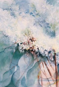 Sering, Maud Norcut door Karen Armitage