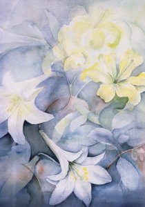 Lilium, Hearts Desire en Imperiale door Karen Armitage