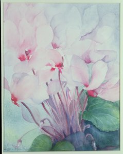 Roze Cyclamen, Victoria door Karen Armitage