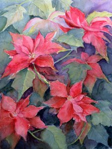 Poinsettia door Karen Armitage