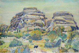 Landschap van Joshua Tree