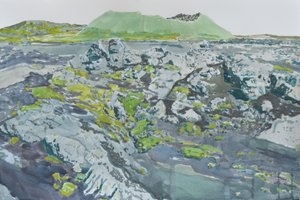 Bemoste vulkanische landschap