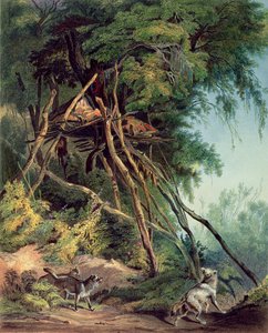 Graven van Assiniboin Indianen in bomen, plaat 30 uit volume 2 van `Reizen in het Binnenland van Noord-Amerika`