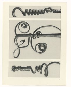 Plantstudie Urformen der Kunst (serietitel)