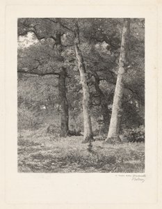 Een Bosopenplek door Karl Bodmer