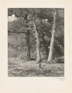  door Karl Bodmer
