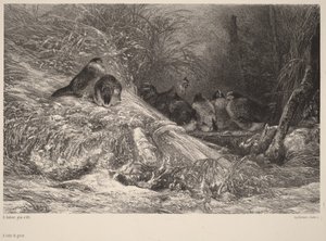  door Karl Bodmer