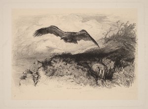  door Karl Bodmer