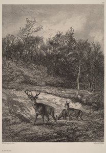  door Karl Bodmer