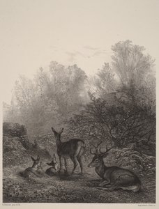  door Karl Bodmer