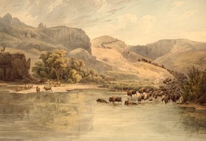 Buffels en elanden in de bovenloop van de Missouri door Karl Bodmer