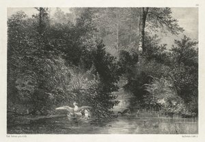 Eenden (Canards)