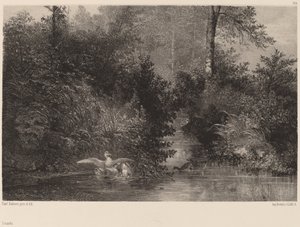 Eenden