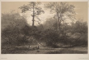  door Karl Bodmer