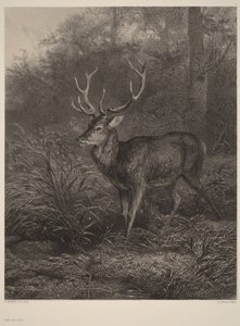  door Karl Bodmer