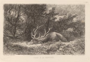 Rustende hert door Karl Bodmer