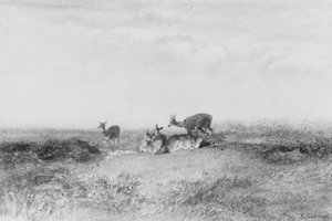  door Karl Bodmer