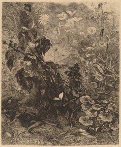 Slakken en vlinders door Karl Bodmer