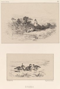 Studies door Karl Bodmer