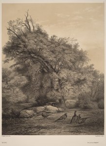 Fazanten door Karl Bodmer