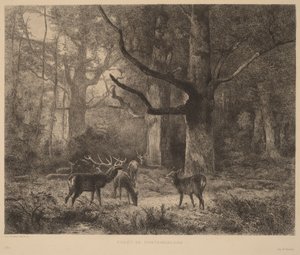  door Karl Bodmer