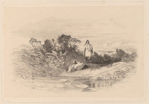 Reigers door Karl Bodmer
