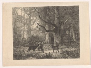 Herten in een bos