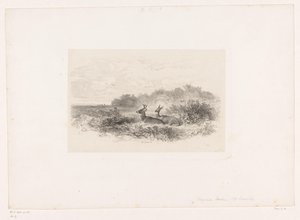 Landschap met twee witstaartherten door Karl Bodmer
