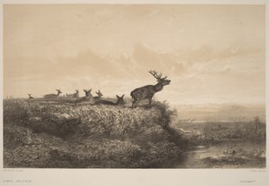 De ochtend door Karl Bodmer