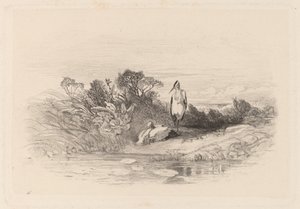 De Twee Reigers door Karl Bodmer
