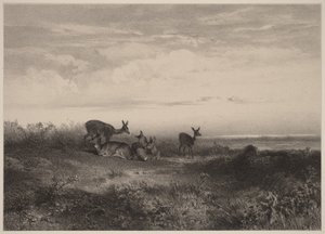  door Karl Bodmer