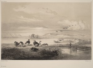  door Karl Bodmer
