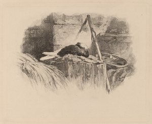 Duif op een nest door Karl Bodmer