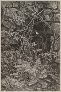  door Karl Bodmer