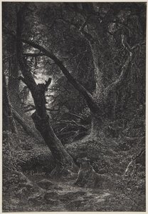  door Karl Bodmer