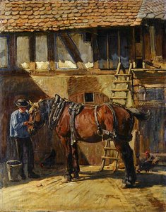 Boer met paard