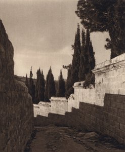 Jeruzalem, Hof van Getsemane door Karl Grober